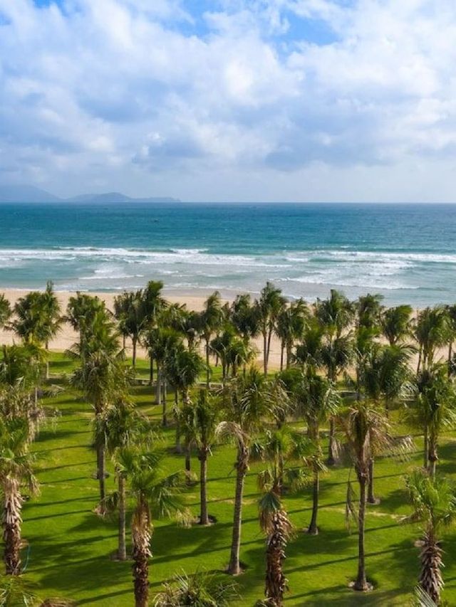 🌴🏖️ Cam Ranh's Selectum Noa Resort: A Tropical Haven 🌞🌊