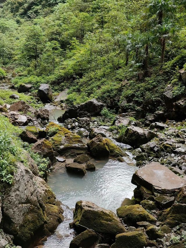 閃避！武隆天生三橋、仙女山