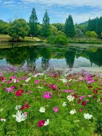 我不同意在南京還沒有人來過這個公園