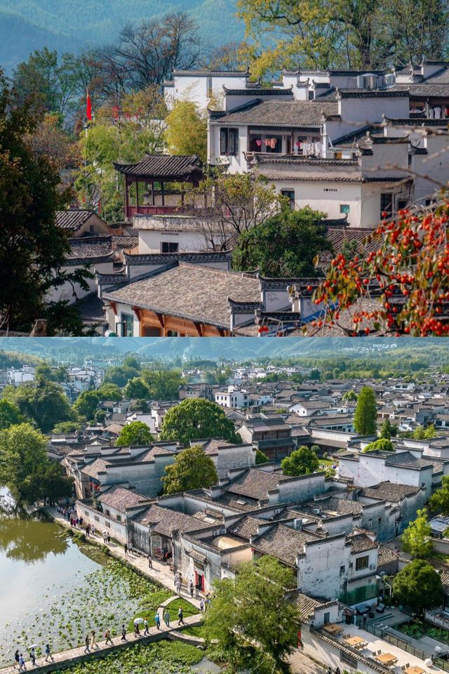 黃山之行：領略徽派江南的絕美風光