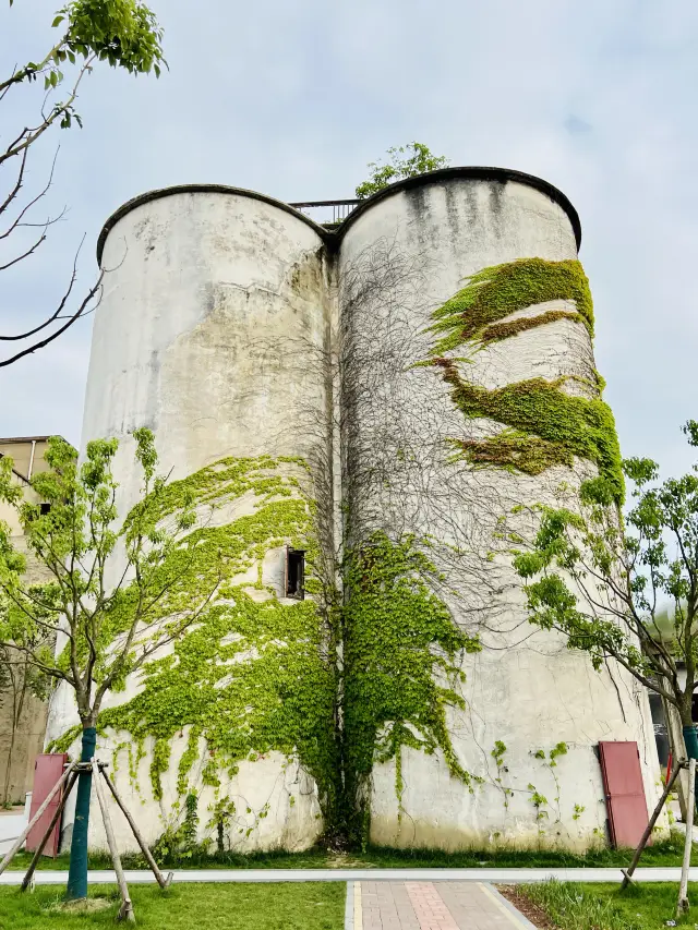 Between Hangzhou and Shanghai lies a treasure of a place: Shendang Granary!