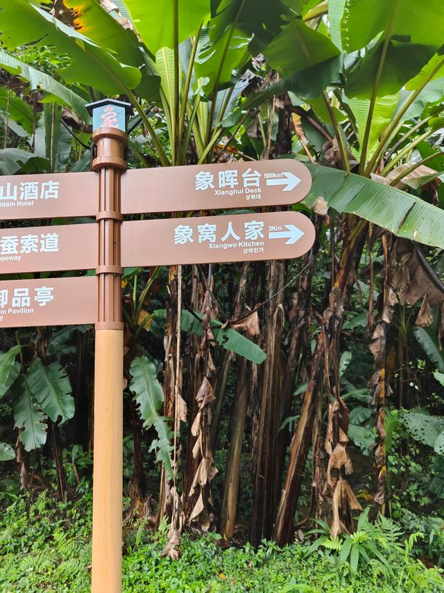 廣東的雲海也是如此壯觀