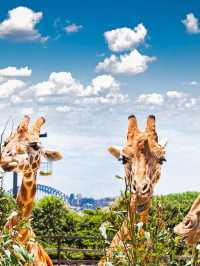 🌟 Sydney's Top 5 Family-Friendly Gems 🐨🎡