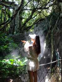 深圳探秘 | 有丁达尔效应的热带雨林