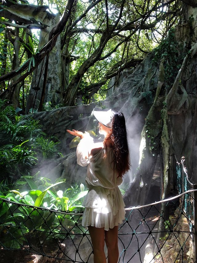 深圳探秘 | 有丁达尔效应的热带雨林