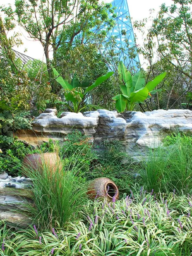 🦕 Changzhou's Dino Hot Spring Haven 🌿🌺