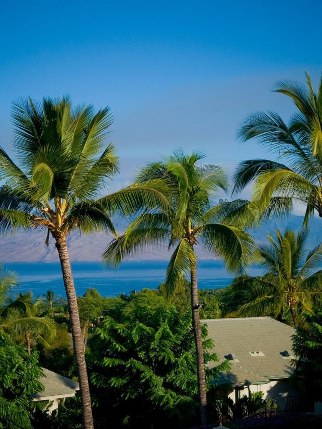 🌴✨ Maui Magic: Top Stay at Hotel Wailea 🌺🏖️