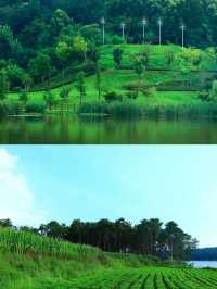 不是漓江是駐馬店薄山湖