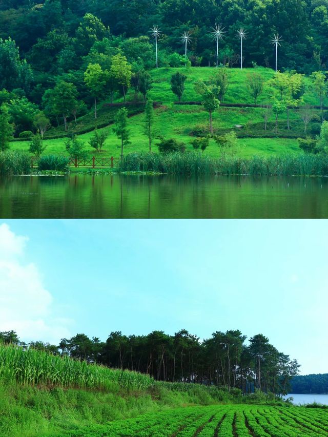 不是漓江是駐馬店薄山湖