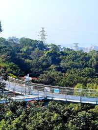 正確的廈門旅遊路線，來靈驗的仙岳山土地公廟祈福