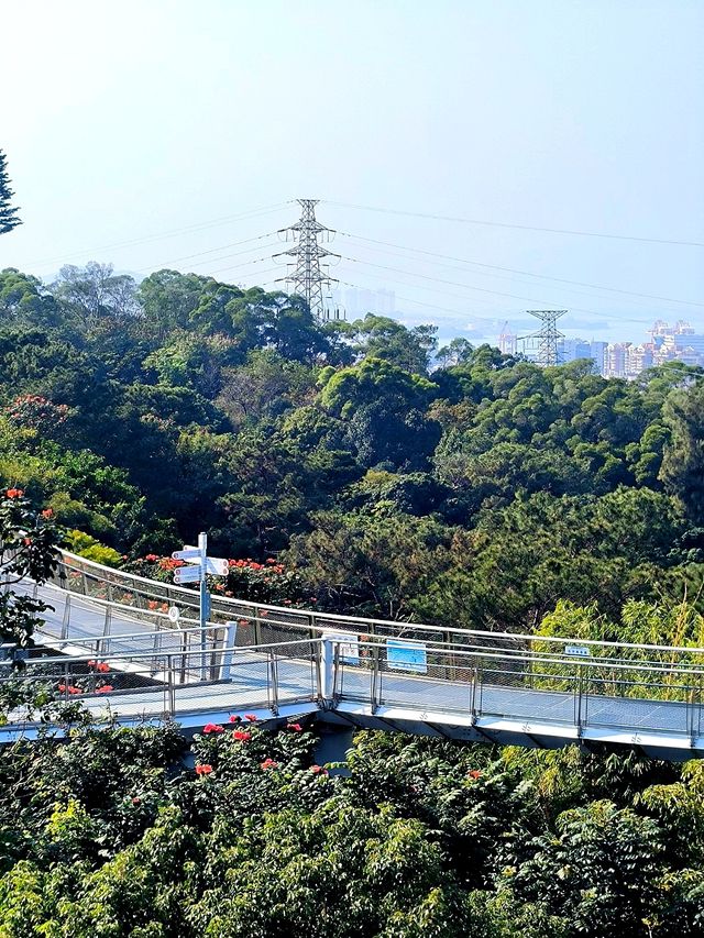 正確的廈門旅遊路線，來靈驗的仙岳山土地公廟祈福