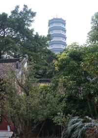 廣州周邊小眾民宿|千年古寺秘境小島