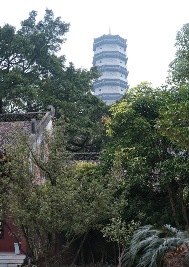 廣州周邊小眾民宿|千年古寺秘境小島