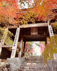 2024年日本【紅葉季攻略】
