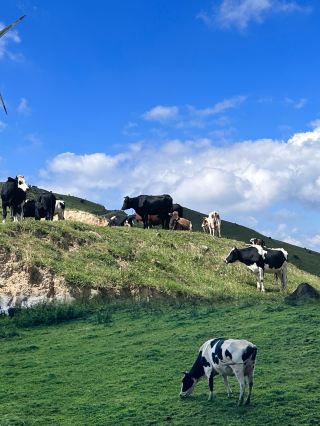 Nanshan Pasture: A Secret Journey to the 'Altay' for Hunan People