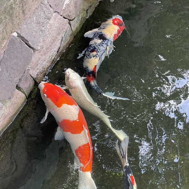 寧波寺廟行｜七塔禪寺