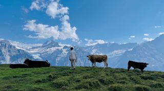 スイスのファースト山、アルプス山脈の輝く宝石