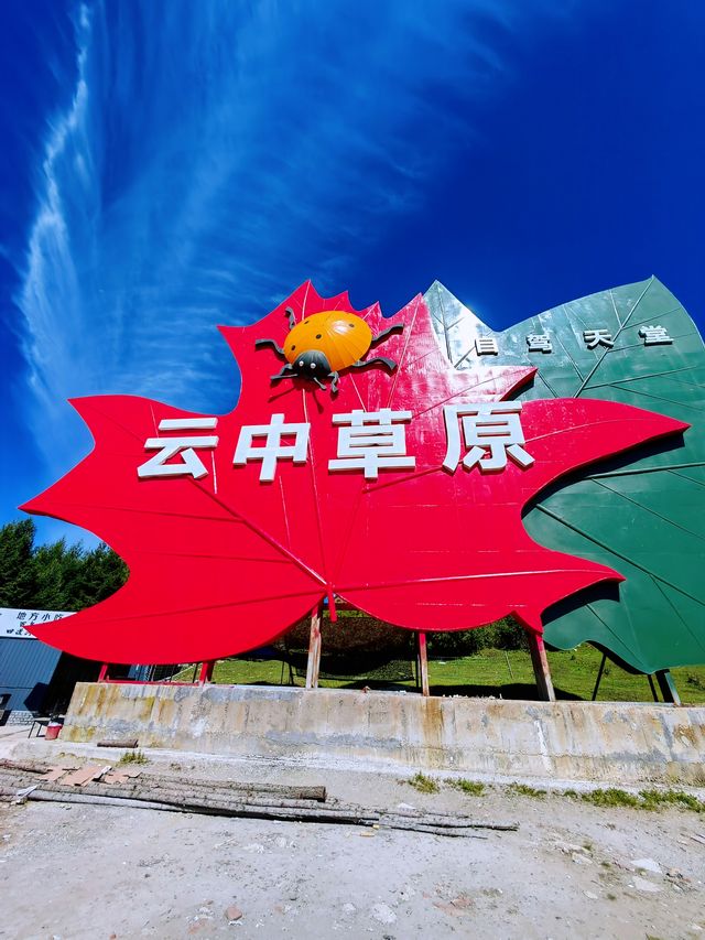 雲中草原。