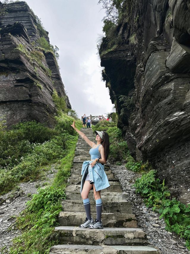 雲海之巔,仙境之門!梵淨山,是一個令人心馳神往的地方。