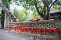 如果說古樹是南郭寺的根，那杜詩就是南郭寺的魂。