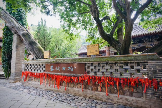 如果說古樹是南郭寺的根，那杜詩就是南郭寺的魂。