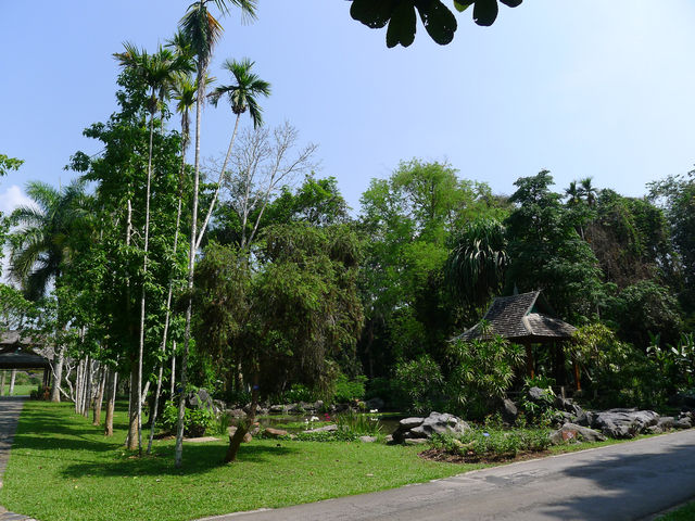 熱帶植物園·樹木園——精緻的樹木王國。