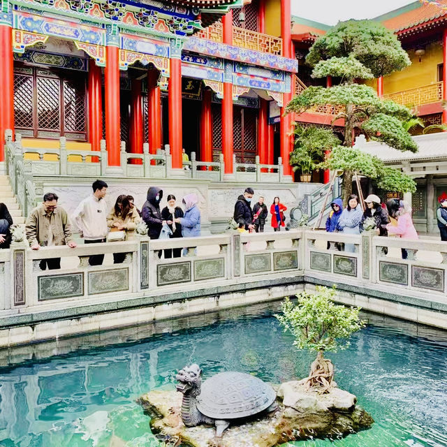 種草珠海金臺寺啦