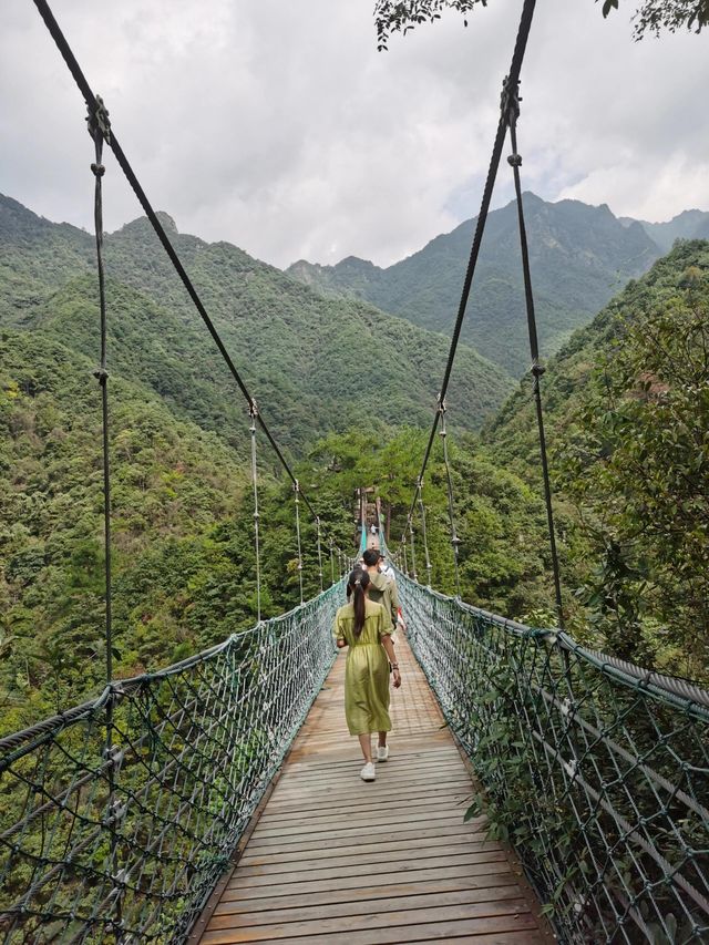 麗水金礦山公園丨黃金之旅。
