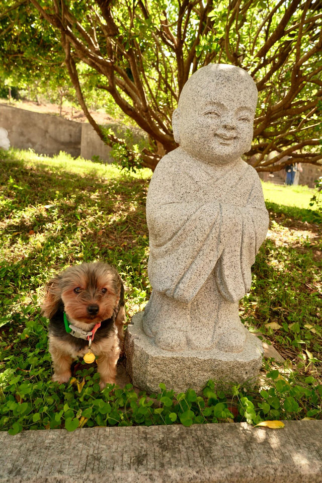 天目湖 WEI 酒店。