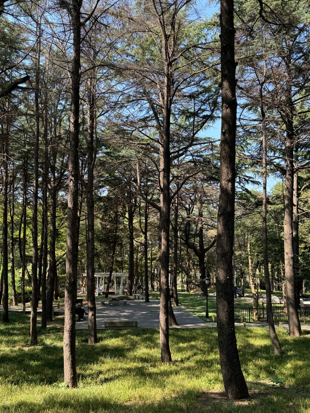 帶孩子在植物園裏撿「垃圾」。