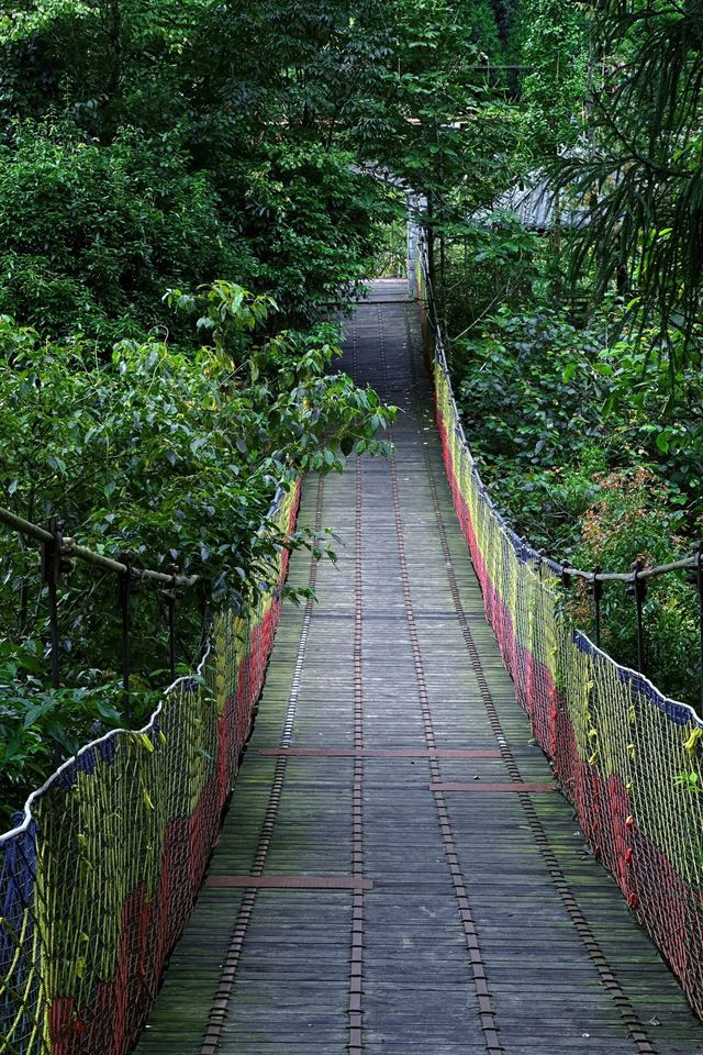 四川|什邡紅峽谷~天然氧吧。