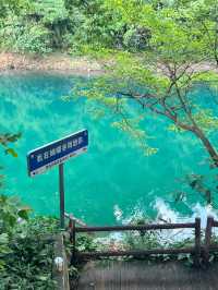鼎湖山蝴蝶谷人間綠寶石屬於廣東的藍月谷。