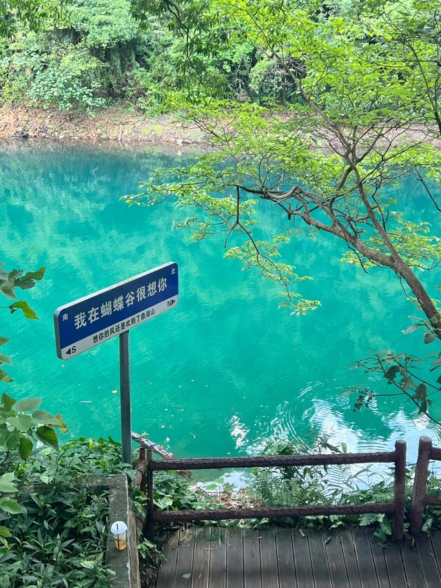 鼎湖山蝴蝶谷人間綠寶石屬於廣東的藍月谷。