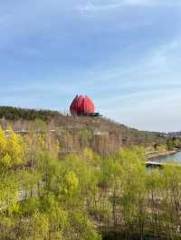 總要來一趟青島園藝博覽園。