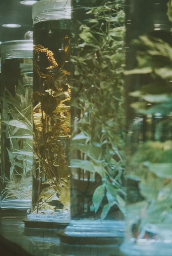 一定是廣州夢核感最強的博物館❗📸