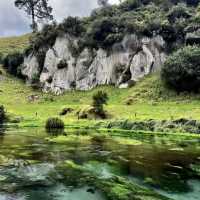 Blue Spring Putaruru such an amazing look