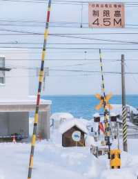 冬天的北海道真的比電影還浪漫。