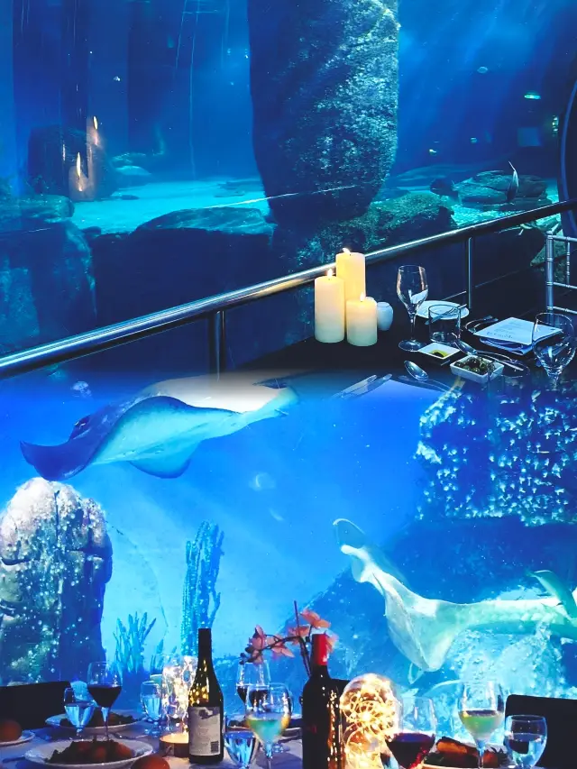 墨爾本海洋生物水族館：潛入南半球的海洋奇觀。