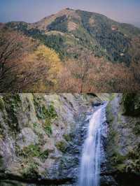 東京賞楓圖鑑：御岳山。