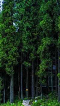 南天湖景區門票只需58元嗎？。