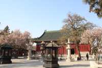 天津大悲禪院，津門香火最旺的寺廟。