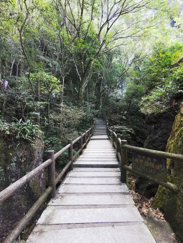 小小靈通山已累趴，懸空寺已去很值得！。