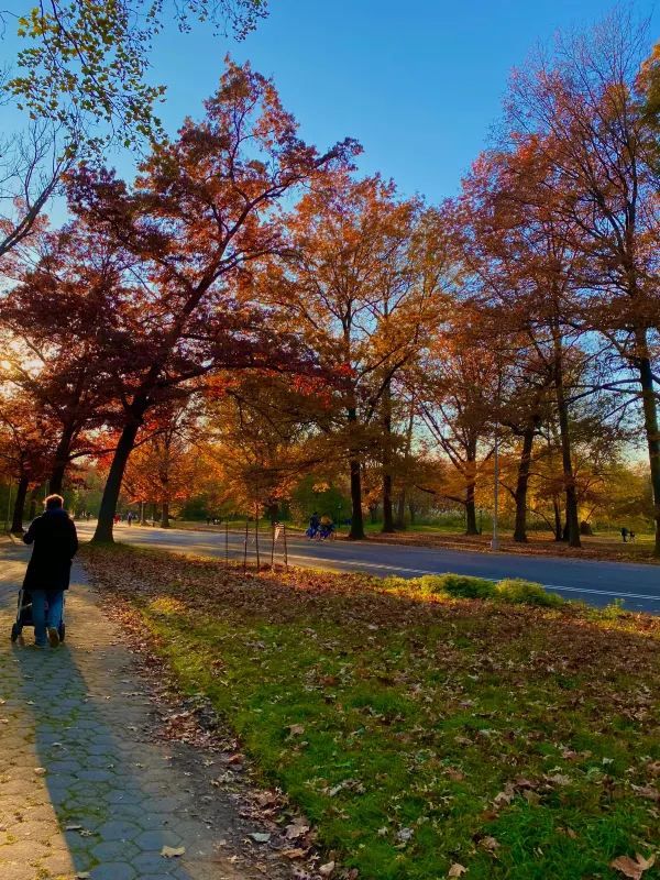 Autumn in NYC is Stunning
