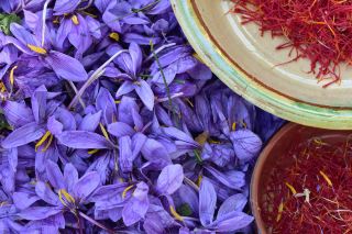 Saffron Festival: A Romantic Journey to Castilla-La Mancha.