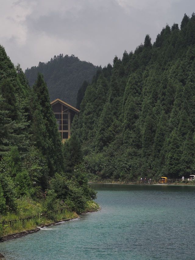 周末在大山裡拍照露營兩不誤。
