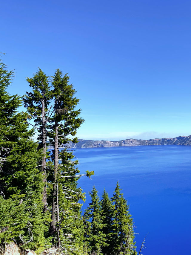 很藍很藍的火山口湖 Crater Lake 徒步。