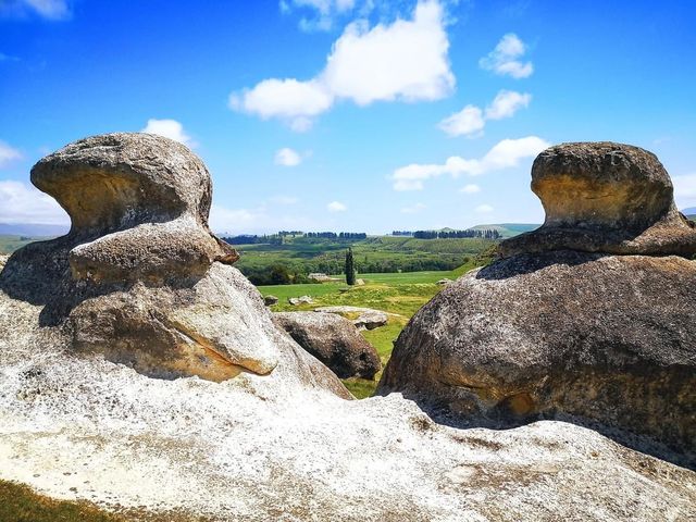 探秘新西蘭的「象石」——Elephant Rocks。