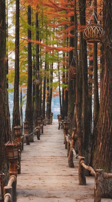 美景如畫等你來!