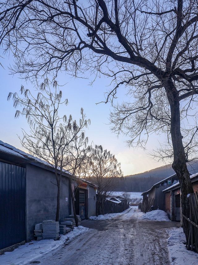 返璞歸真東北味兒拉滿 吉林二合雪鄉旅遊攻略