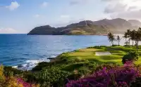 提華納 墨西哥的邊境魅力之城